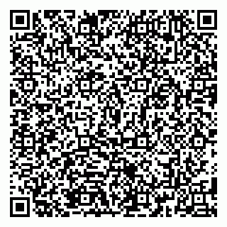 vCard 79185013385