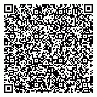 vCard 79185013386