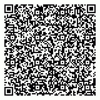 vCard 79185013387