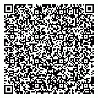vCard 79185013388