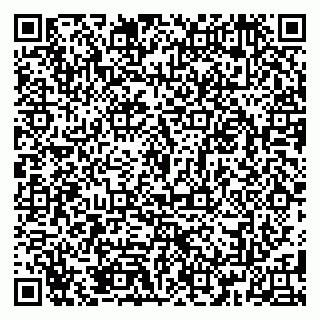 vCard 79185013389