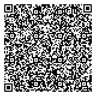 vCard 79185013401