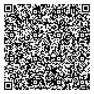 vCard 79185013402