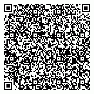 vCard 79185013403