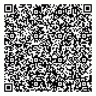 vCard 79185013427