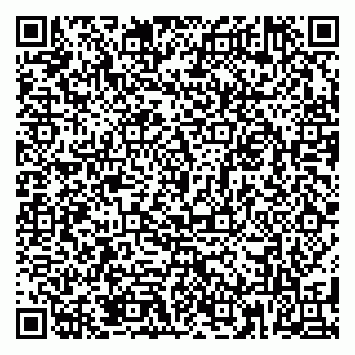 vCard 79185013433