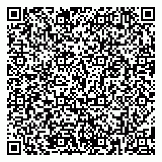 vCard 79185013435