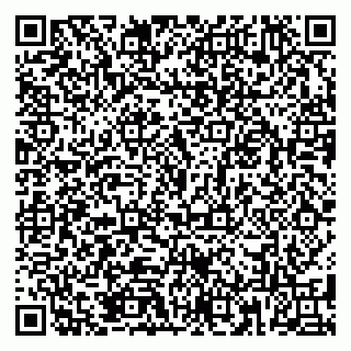 vCard 79185013437