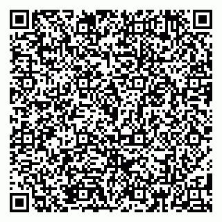 vCard 79185013461