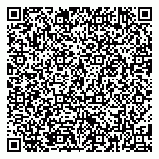 vCard 79185013473