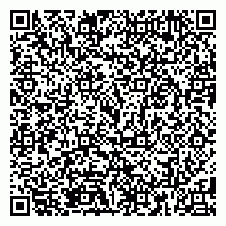 vCard 79185013519
