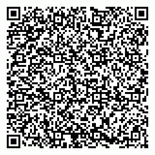 vCard 79185013520