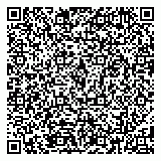 vCard 79185013529