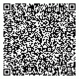 vCard 79185013533