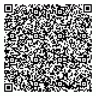 vCard 79185013537