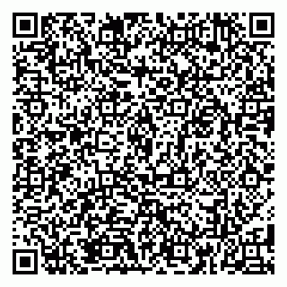 vCard 79185013551