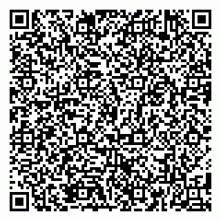 vCard 79185013553