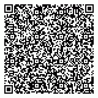 vCard 79185013631
