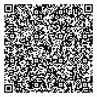 vCard 79185013632
