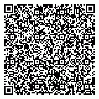 vCard 79185013633
