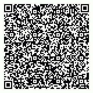 vCard 79185013665