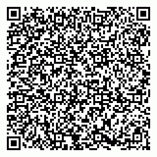 vCard 79185013671