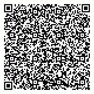 vCard 79185013685