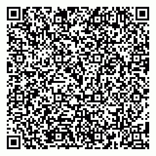 vCard 79185013695