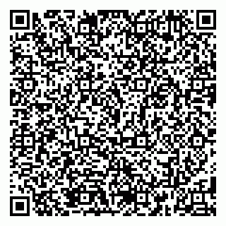 vCard 79185013699