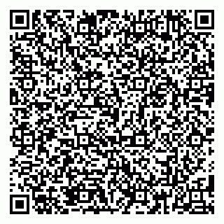 vCard 79185013721