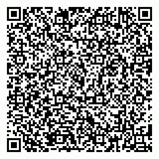 vCard 79185013723