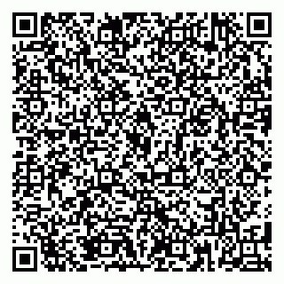 vCard 79185013733