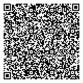vCard 79185013741
