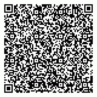 vCard 79185013763