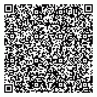 vCard 79185013770