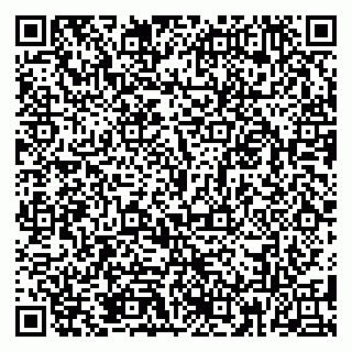 vCard 79185013775