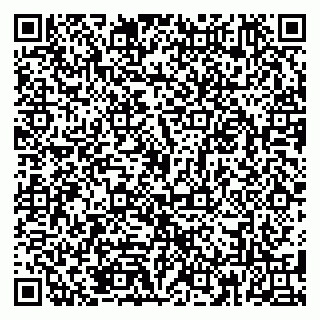 vCard 79185013776