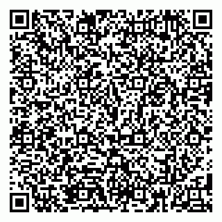 vCard 79185013779