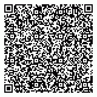 vCard 79185013781