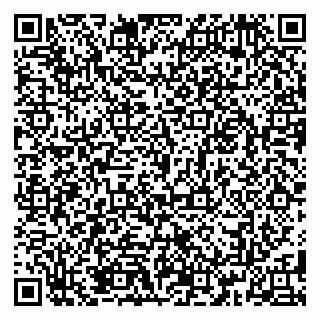 vCard 79185013789