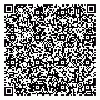 vCard 79185013801