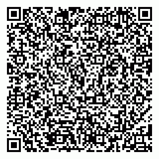 vCard 79185013809