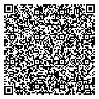 vCard 79185013817