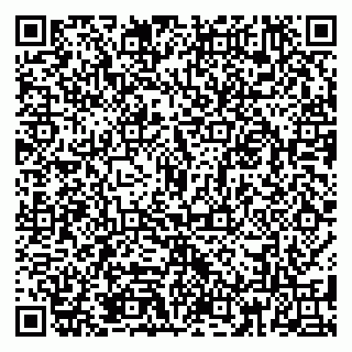 vCard 79185013827
