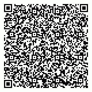 vCard 79185013829