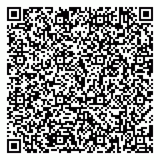 vCard 79185013833