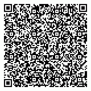 vCard 79185013841