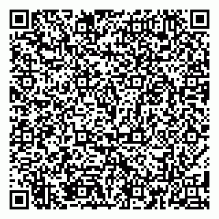 vCard 79185013845