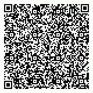 vCard 79185013847
