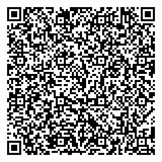 vCard 79185013853